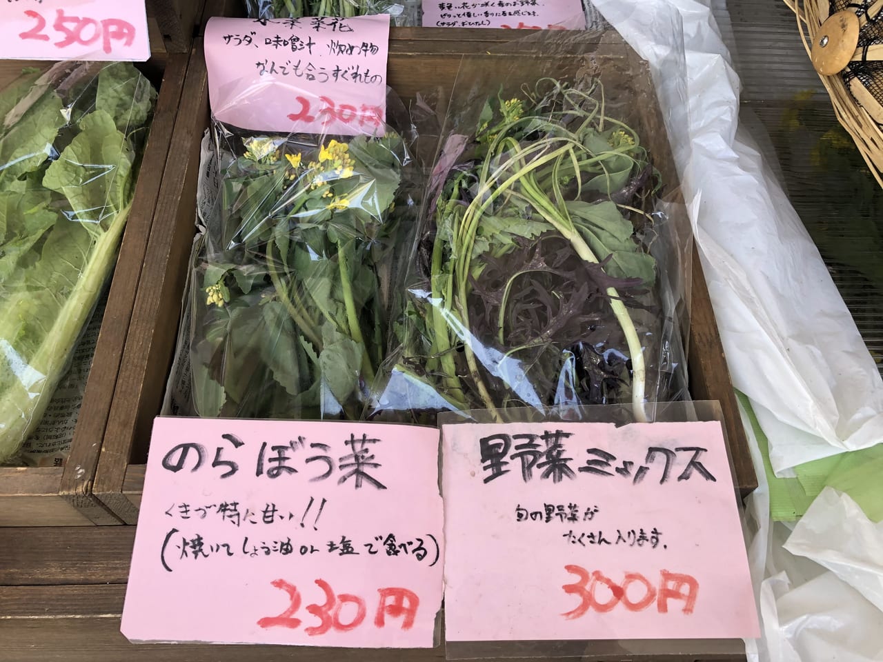 まる然商店１５