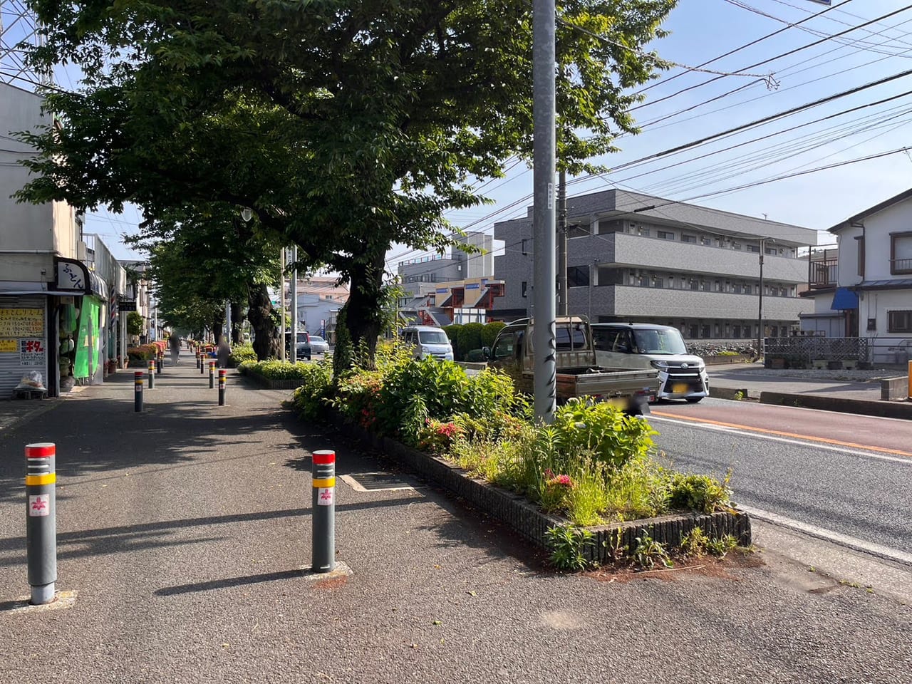 桜ヶ丘鶏陽