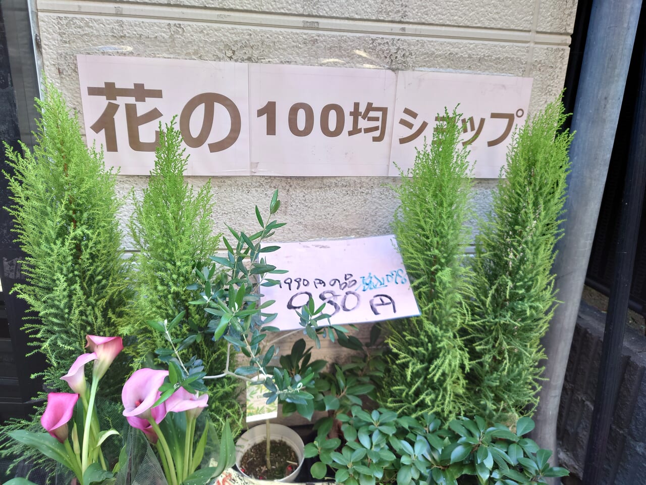 100 yen flowers