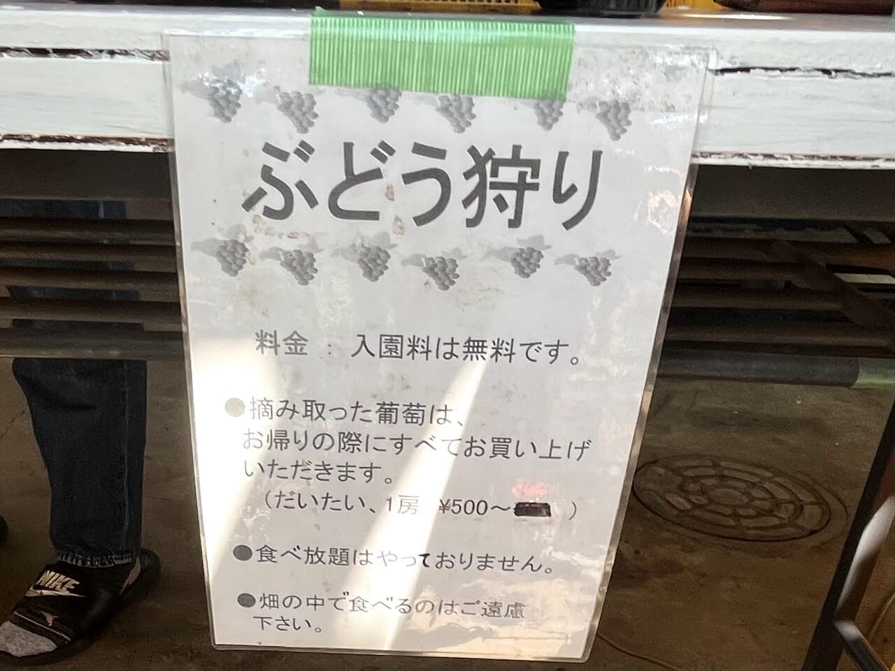 下鶴間ぶどう園