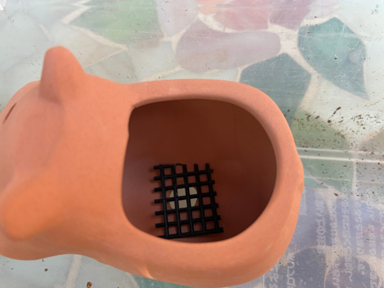 湘南気分