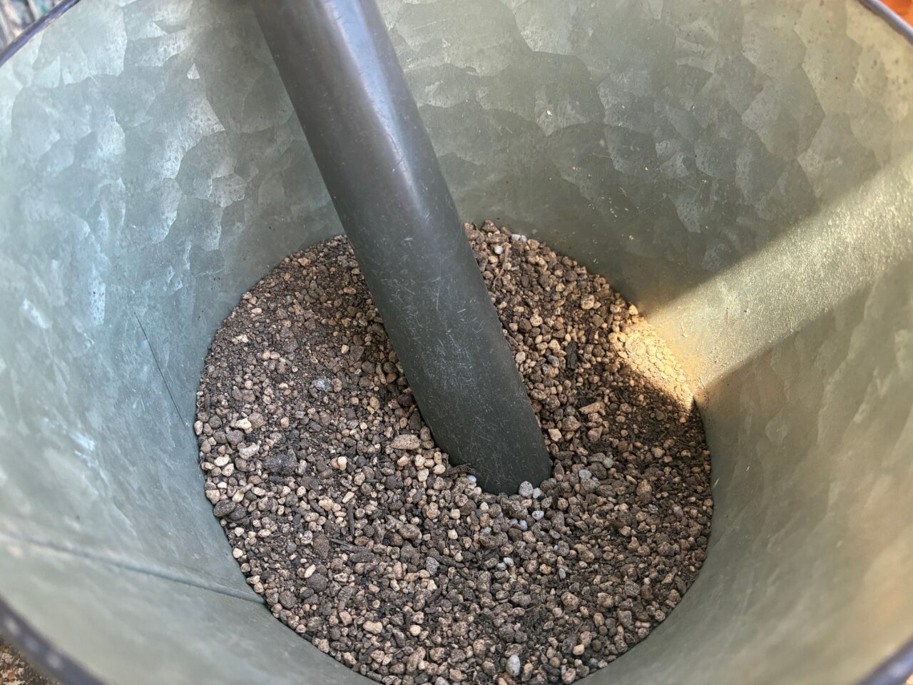 湘南気分