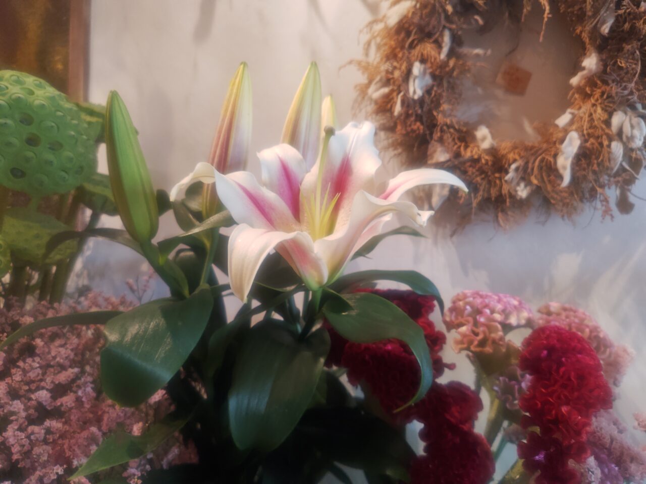 Flower