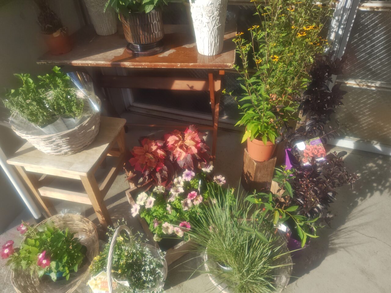 Flower4