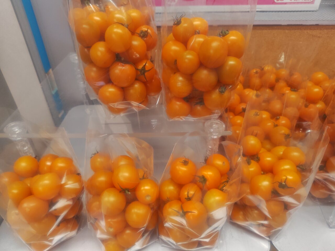 Tomato